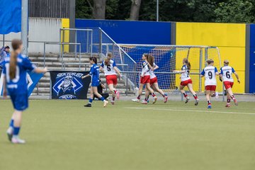 Bild 67 - wBJ Hamburger SV - FC Suederelbe : Ergebnis: 9:0